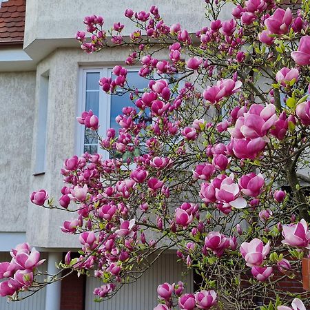 Apartament Magnolia Sopot Exterior foto